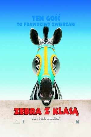 Zebra z klasą