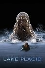 Aligator