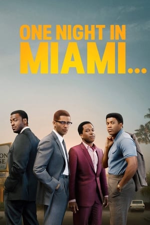 Pewnej nocy w Miami...