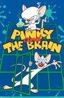 Pinky i Mózg