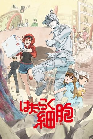 Hataraku Saibou