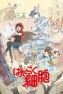 Hataraku Saibou