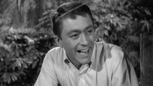 The Andy Griffith Show Odcinek 15