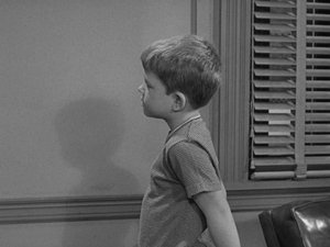The Andy Griffith Show Odcinek 13