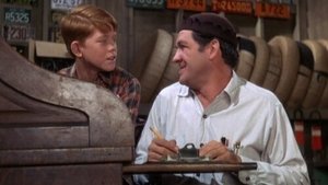 The Andy Griffith Show Odcinek 30