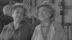 The Andy Griffith Show Odcinek 17