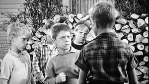 The Andy Griffith Show Odcinek 14