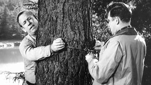 The Andy Griffith Show Odcinek 22