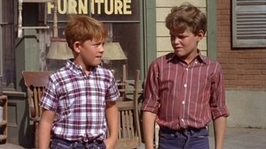 The Andy Griffith Show Odcinek 1