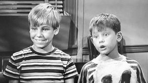 The Andy Griffith Show Odcinek 14