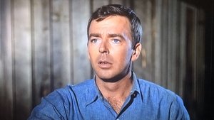 The Andy Griffith Show Odcinek 27