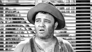 The Andy Griffith Show Odcinek 20