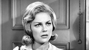The Andy Griffith Show Odcinek 2