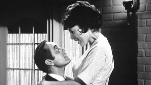 The Andy Griffith Show Odcinek 17