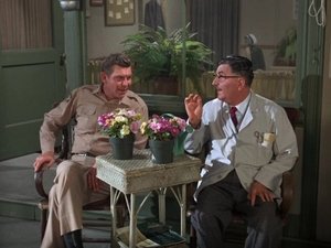 The Andy Griffith Show Odcinek 12