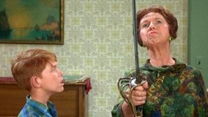 The Andy Griffith Show Odcinek 29