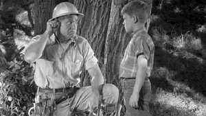 The Andy Griffith Show Odcinek 1