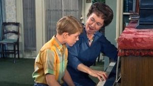 The Andy Griffith Show Odcinek 26