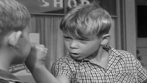The Andy Griffith Show Odcinek 1