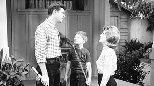 The Andy Griffith Show Odcinek 10