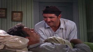 The Andy Griffith Show Odcinek 14