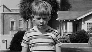 The Andy Griffith Show Odcinek 1