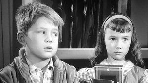 The Andy Griffith Show Odcinek 28