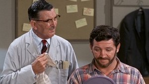 The Andy Griffith Show Odcinek 14