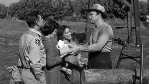 The Andy Griffith Show Odcinek 27