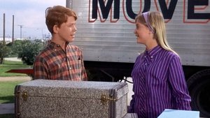 The Andy Griffith Show Odcinek 28