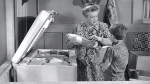 The Andy Griffith Show Odcinek 24