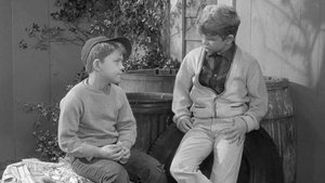 The Andy Griffith Show Odcinek 21