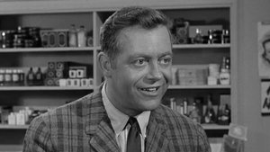 The Andy Griffith Show Odcinek 14