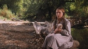 Domek na prerii Pamiętajcie mnie (2)
