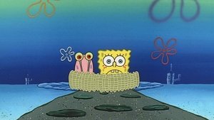 SpongeBob Kanciastoporty Nie ma to jak w domu
