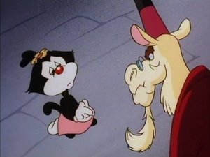 Animaniacy Jak powstało przemówienie / Wakko Geograf / Davy Omlet