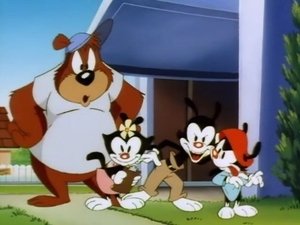 Animaniacy Herkules Yakko / Dom na Nilu / Sen nocy letniej