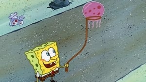 SpongeBob Kanciastoporty Dżem meduzowy