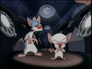 Animaniacy Odcinek 147