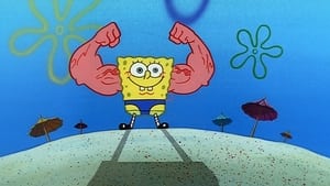 SpongeBob Kanciastoporty PakerBob Mięśniakoporty