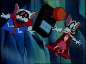 Animaniacy Odcinek 158
