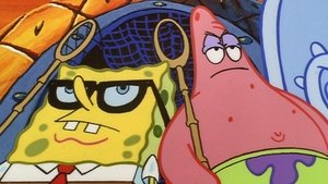 SpongeBob Kanciastoporty Na meduzy