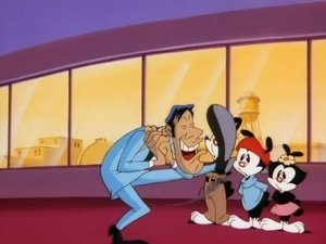 Animaniacy Ryzykujesz życiem / Nabita w puszkę / Praca dla dżokeja