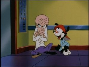 Animaniacy Odcinek 136
