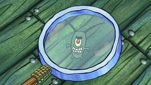 SpongeBob Kanciastoporty Plankton!