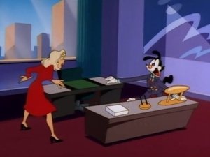 Animaniacy Gdzie diabeł mówi dobranoc / Księżycowy chłopiec / Kości zostały rzucone