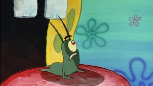 SpongeBob Kanciastoporty Niskie pobudki