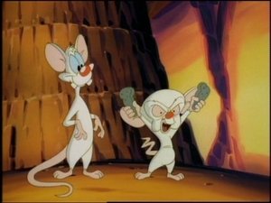 Animaniacy Odcinek 122
