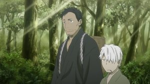 Mushishi Trawiaste posłanie