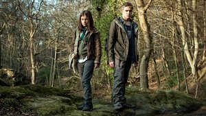 Wolfblood Samotny wilk